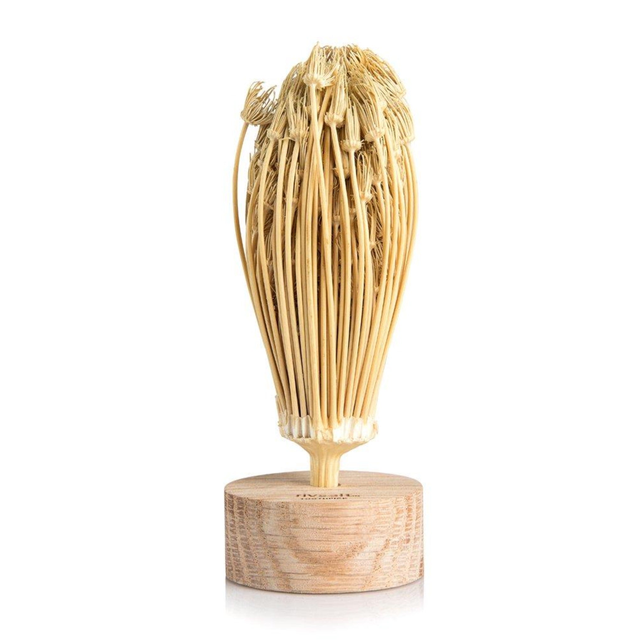 013 TOOTHPICK