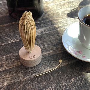 SALT DINING EXPERIENCE